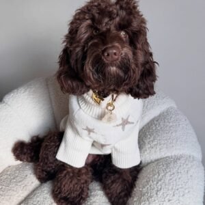 Romeo